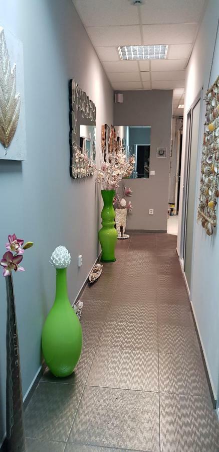 Charming Design In The Heart Of Leiden